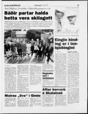 Síða 21