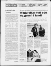 Síða 2