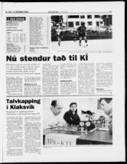Síða 17