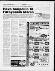 Síða 9