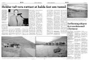 Síða 4