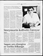 Síða 13