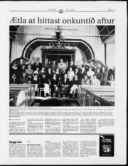 Síða 15