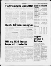 Síða 20