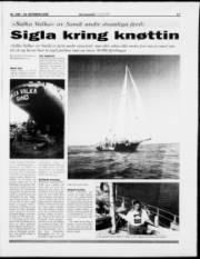 Síða 17