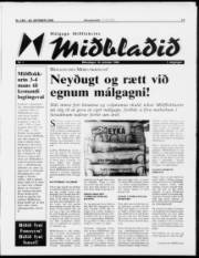 Síða 13