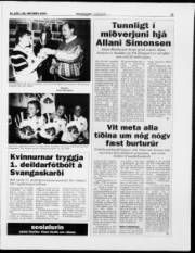 Síða 21
