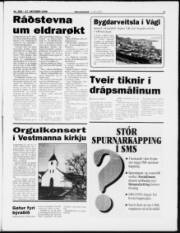 Síða 3