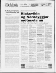 Síða 2