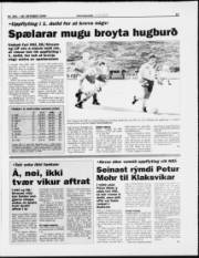 Síða 19