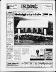 Síða 28