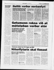 Síða 8