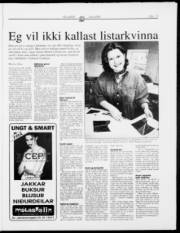 Síða 17