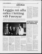 Síða 13