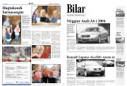 Síða 9