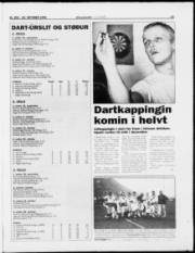 Síða 15
