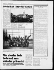 Síða 17