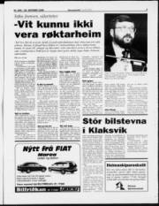 Síða 3