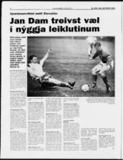 Síða 8