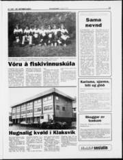 Síða 19