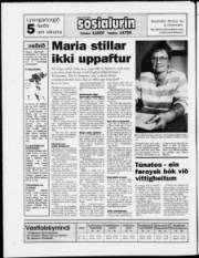 Síða 28