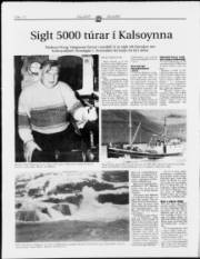 Síða 12
