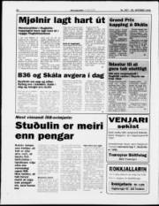 Síða 20