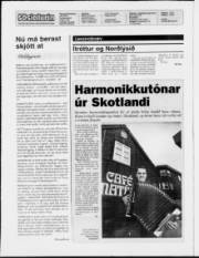 Síða 2