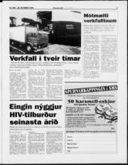 Síða 3