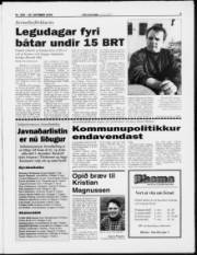 Síða 5