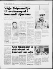 Síða 11