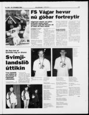 Síða 17