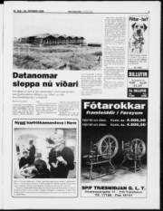 Síða 5