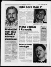 Síða 6