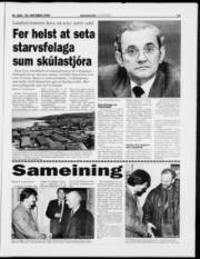 Síða 13