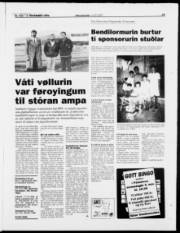 Síða 19