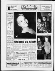 Síða 28