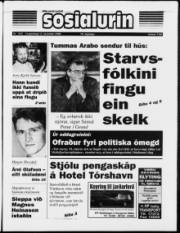 Síða 1