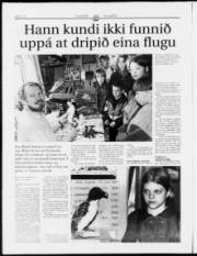 Síða 12