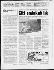 Síða 2