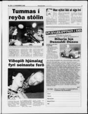 Síða 3