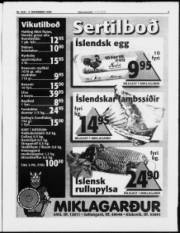 Síða 3