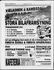 Síða 5