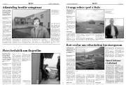 Síða 4