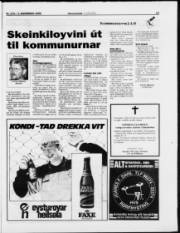 Síða 19