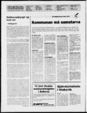 Síða 2