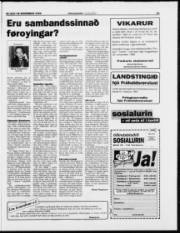 Síða 19