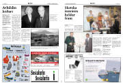 Síða 8