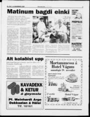 Síða 5