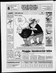 Síða 28
